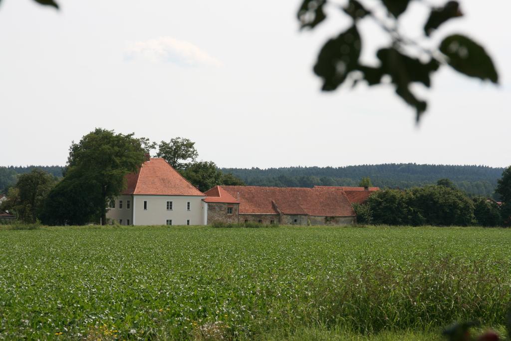Historischer Pfarrhof Niederleierndorf Langquaid الغرفة الصورة